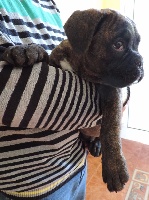 Altair de Cans d'Aragon
