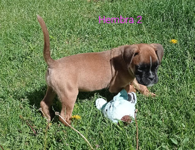 Femelle 2